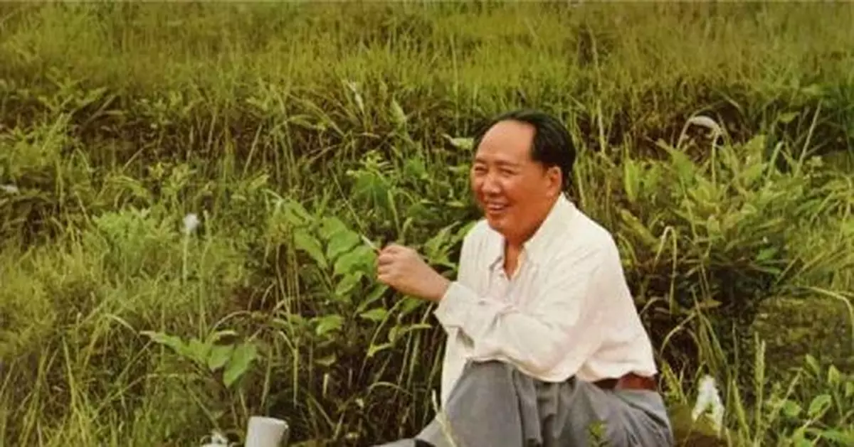 公安部前部長王芳回憶：毛澤東「失蹤」事件
