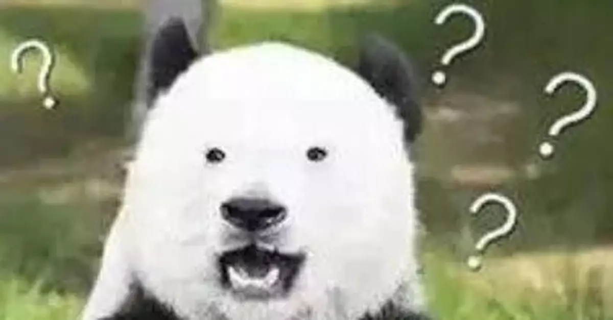 外賣小哥竟在電梯裏小便！餐盒就放在腳邊 監控曝光