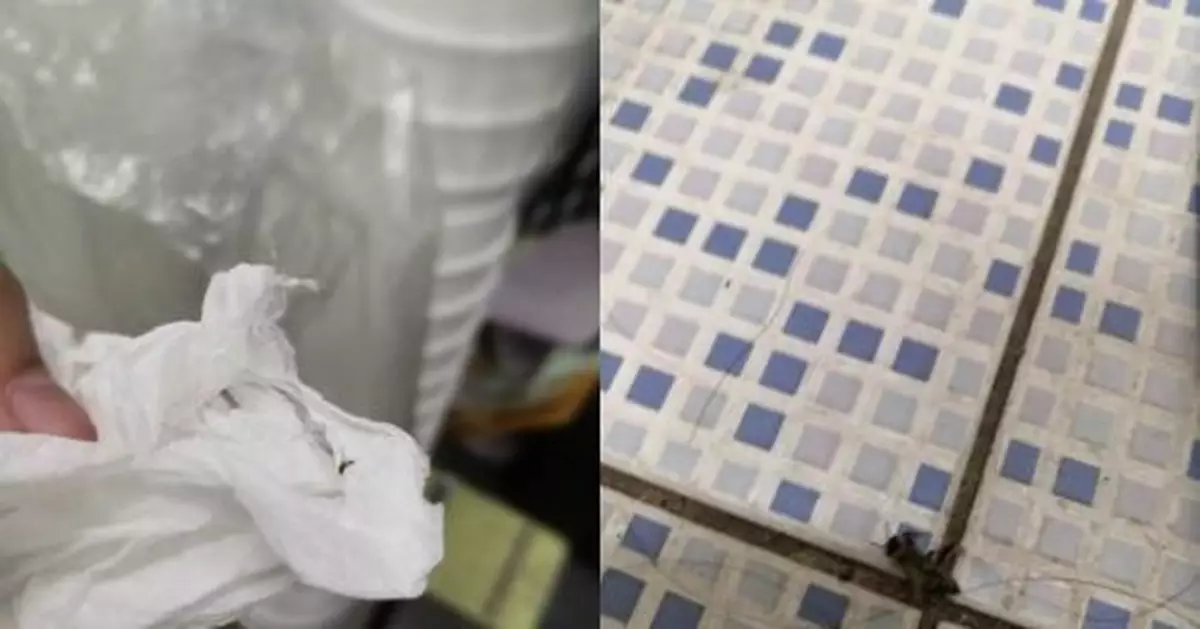 正妹雪乳被蜜蜂叮 忍痛拔針出來 網友：讓我來