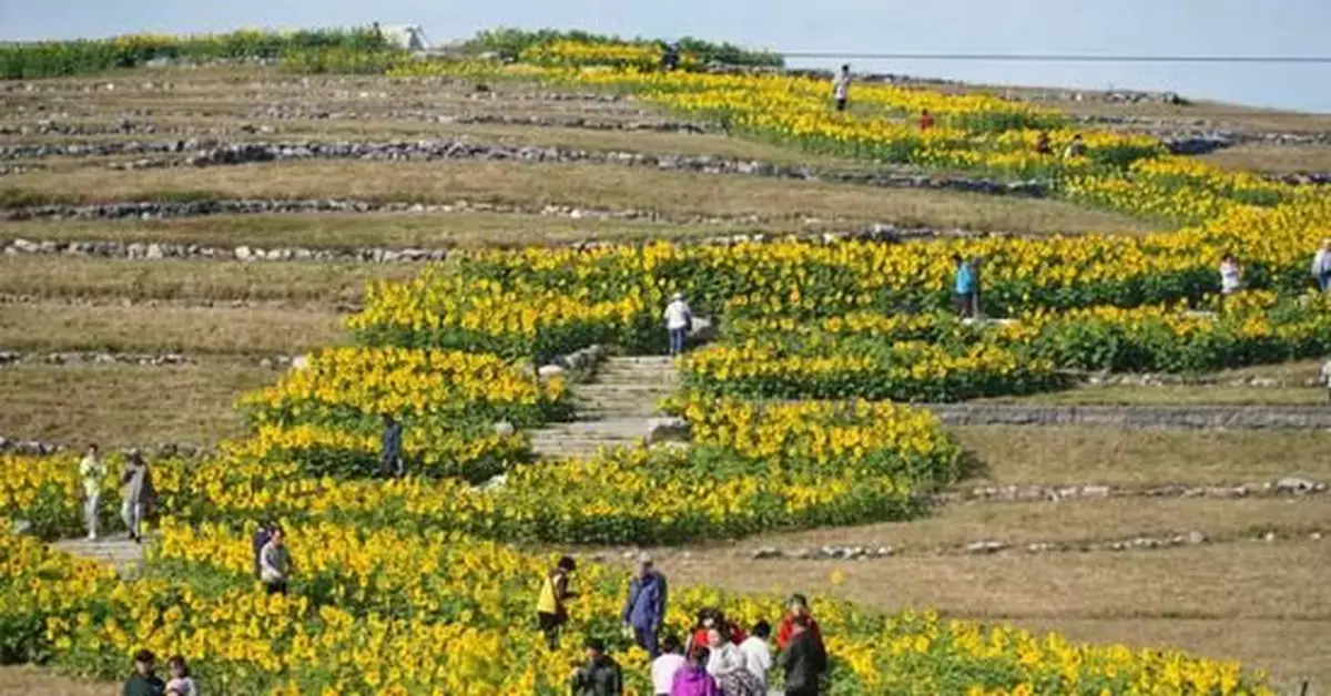 今年，你可能還有一個「小長假」未休……