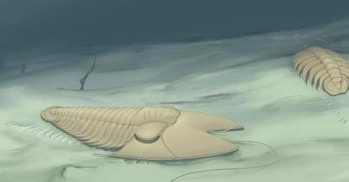 中科院古生物學家在山東濰坊發現5億年前「兔耳朵蟲」
