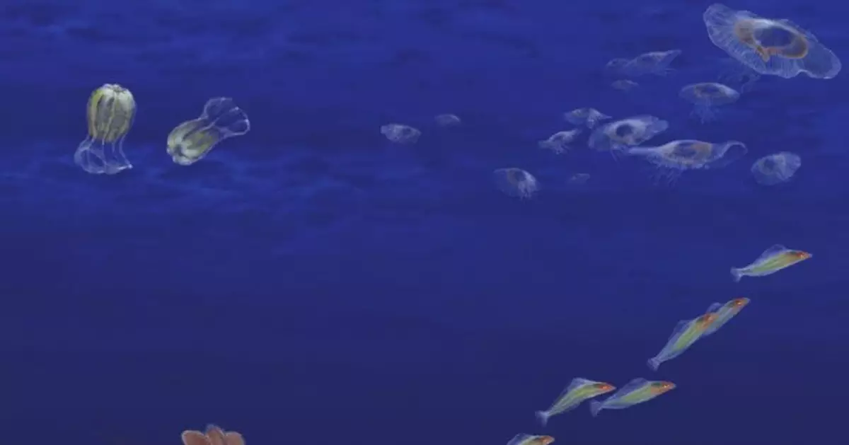 一隻5億年前的「蝦」，首次被發現！