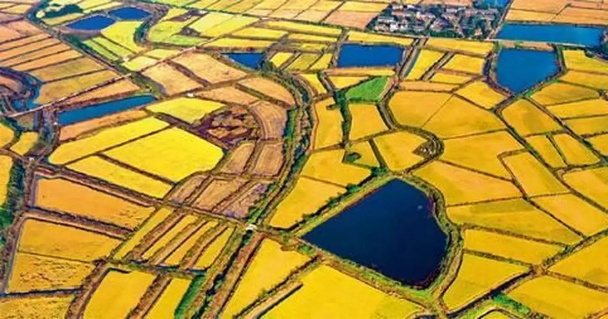 如何守住我們的「命根子」？