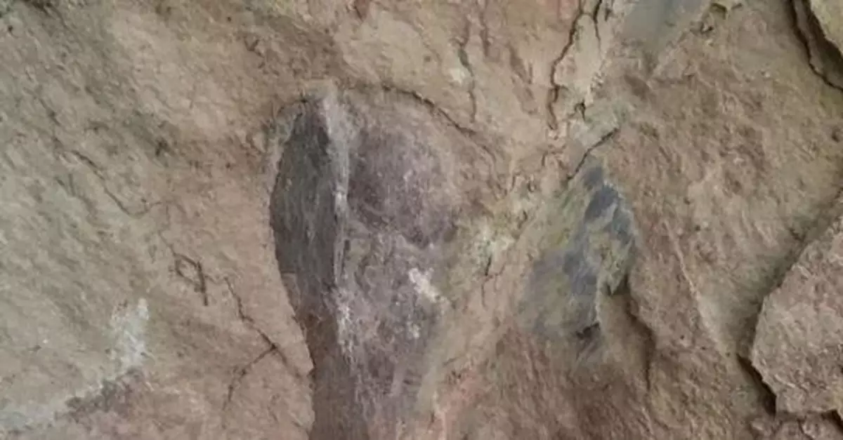 四川自貢市民散步時，發現疑似恐龍化石