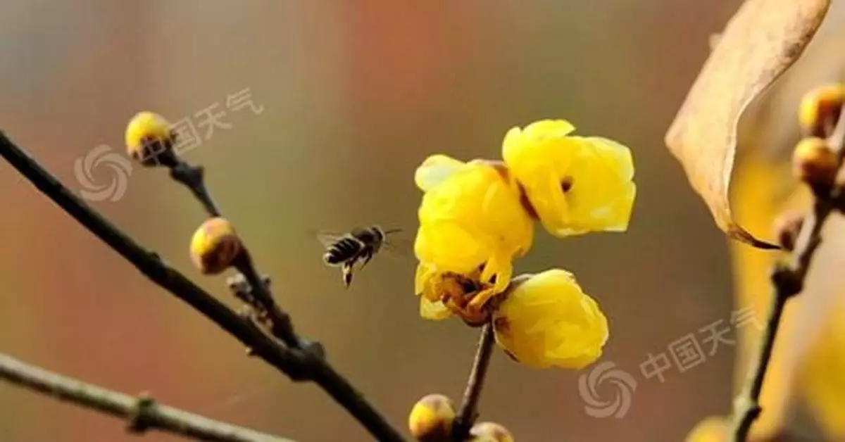 周末華北黃淮陷「霾」伏 28日起年末寒潮襲擾中東部