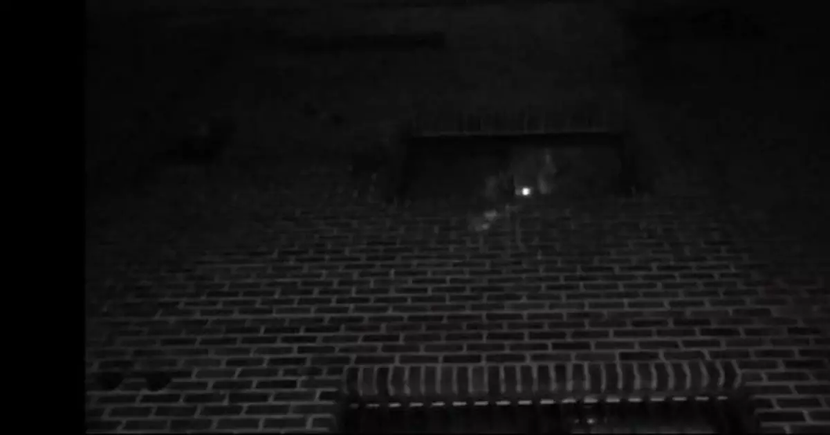 素媛案罪犯打手電筒觀察抗議者 黑暗中盯了1分鐘