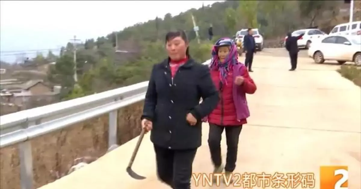 雲南會澤多名小學生遭野猴襲擊，家長持鐮刀護送上下學