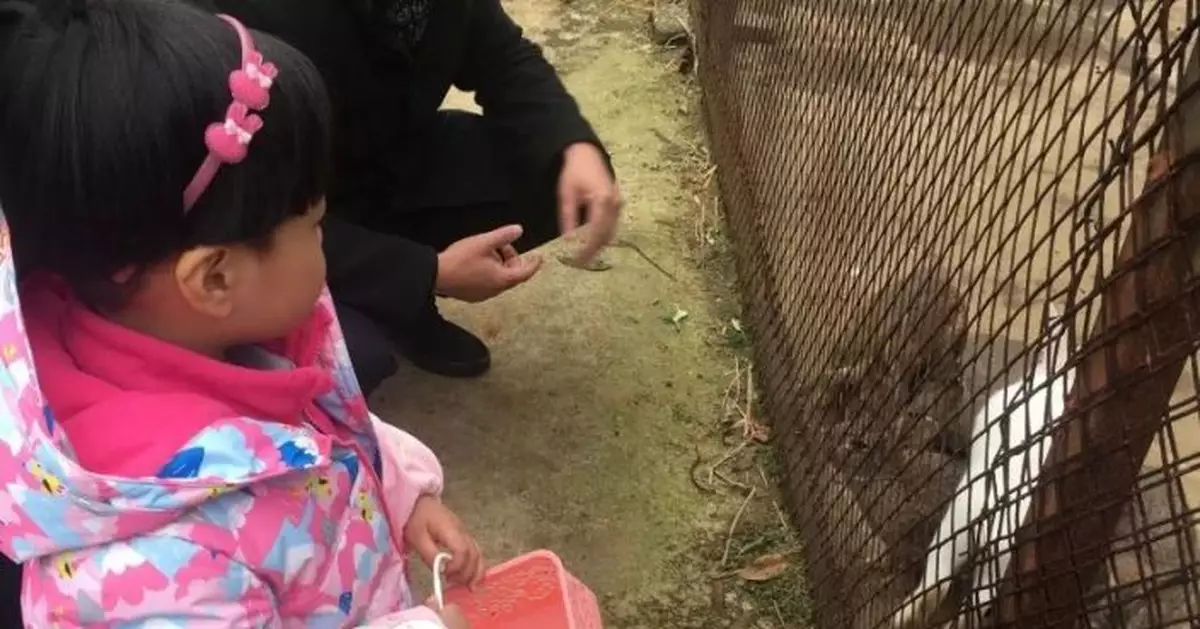 到底是什麼，讓現在年輕人不想生孩子？