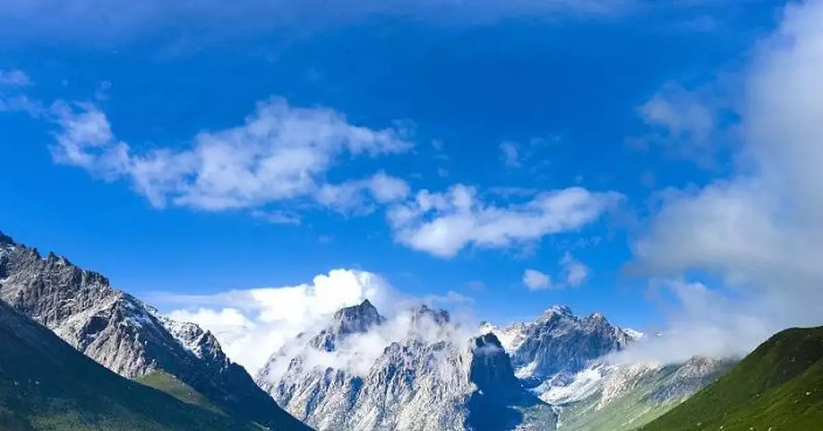 高冷的青藏高原中部 4700萬年前竟是一片亞熱帶森林?