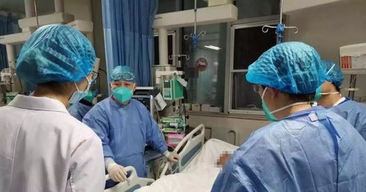 千年鐵樹「結果」 大媽「嘗鮮」中毒