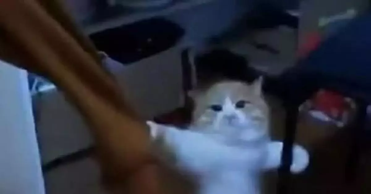 明日上班！兩股冷空氣也「接力」來襲