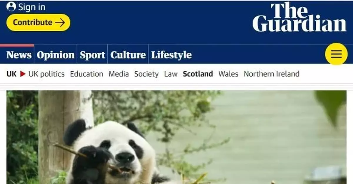 養不起了！英國考慮將大熊貓送回中國