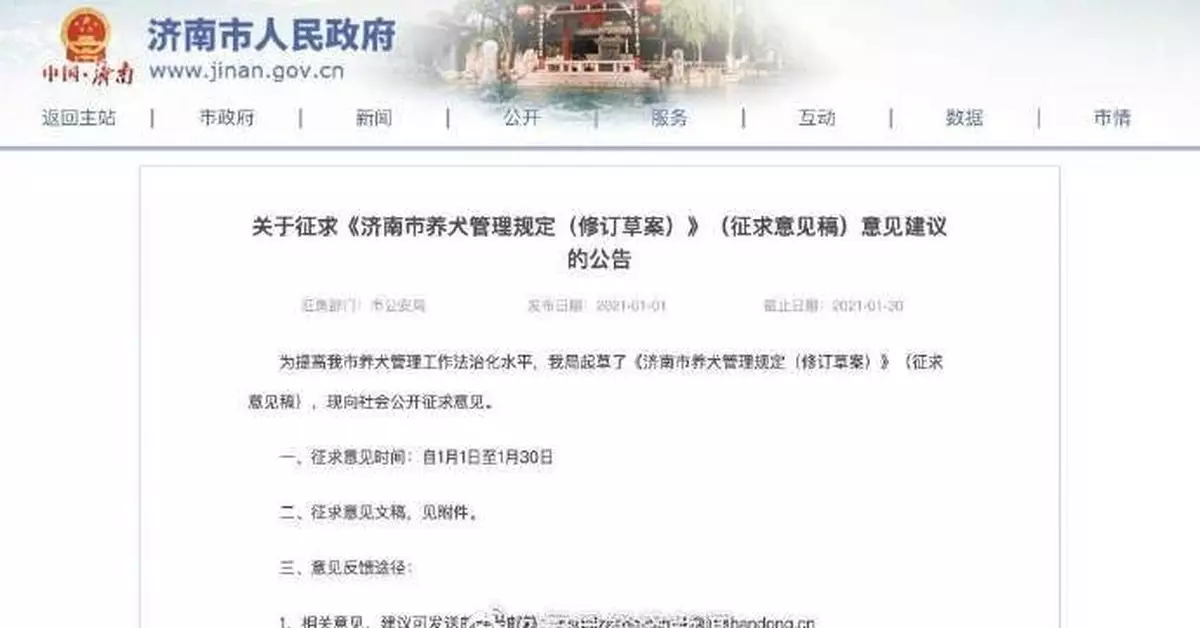 近十年犬傷人案2萬餘起 濟南擬規定遺棄犬只罰兩千元