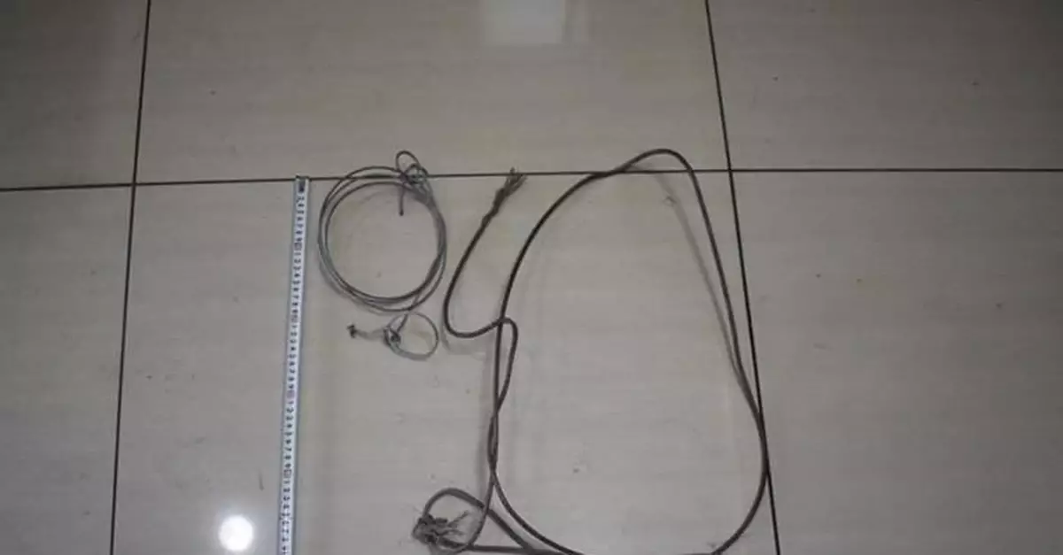 患病男子聽信謠言「喝鹿心血」：獵殺3隻鹿被刑拘