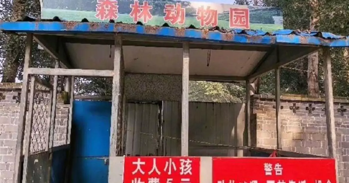 最敷衍動物園「一半都是雞」 網友笑翻