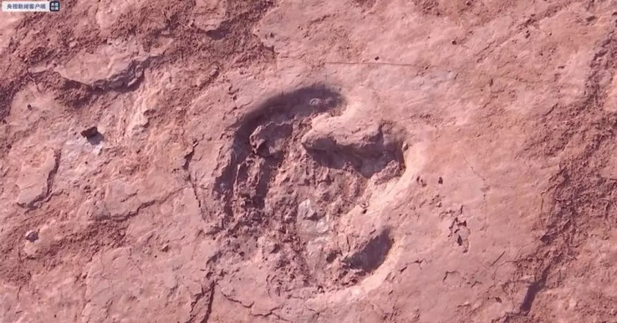 240餘枚！福建首次發現大規模晚白堊世恐龍足跡群