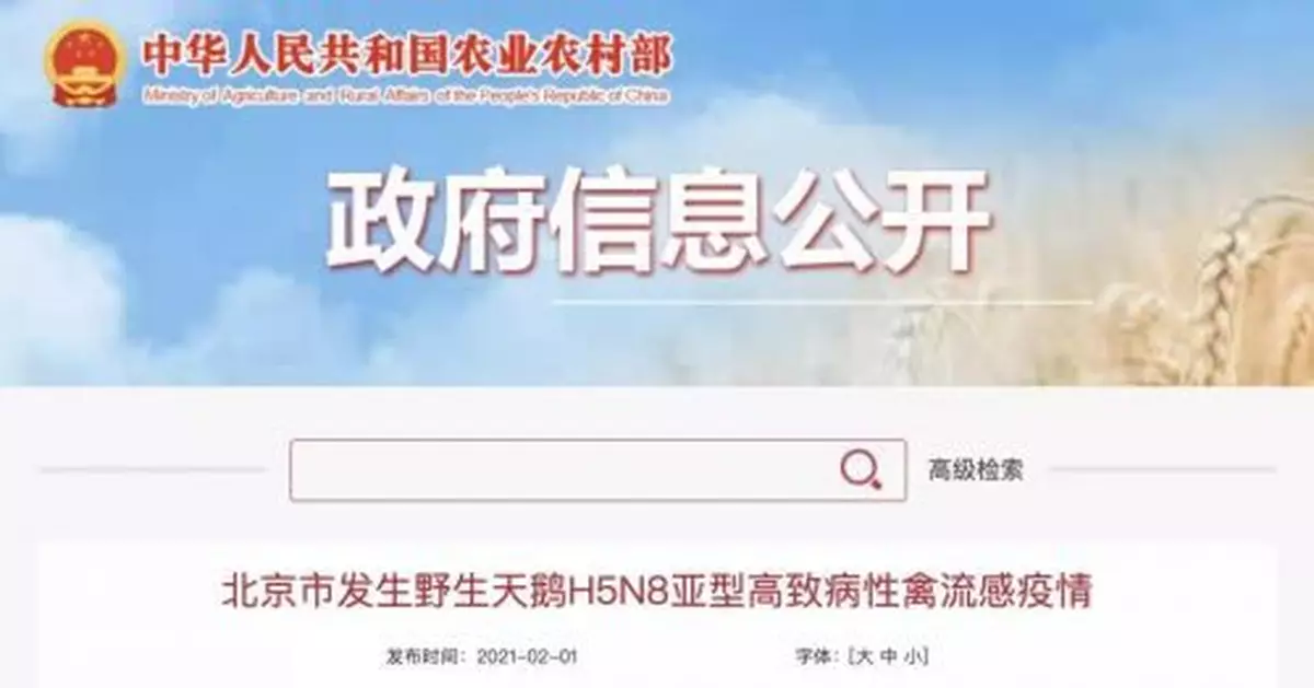 圓明園3隻黑天鵝感染禽流感後死亡，海淀凌晨通報！