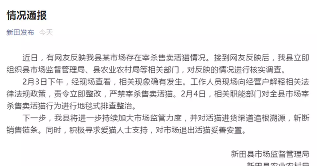 湖南永州回應一市場宰殺售賣活貓：責令立即整改