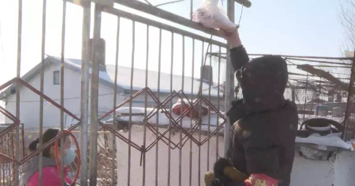 黑龍江綏化市望奎縣34萬餘斤「暖心肉」陸續入戶