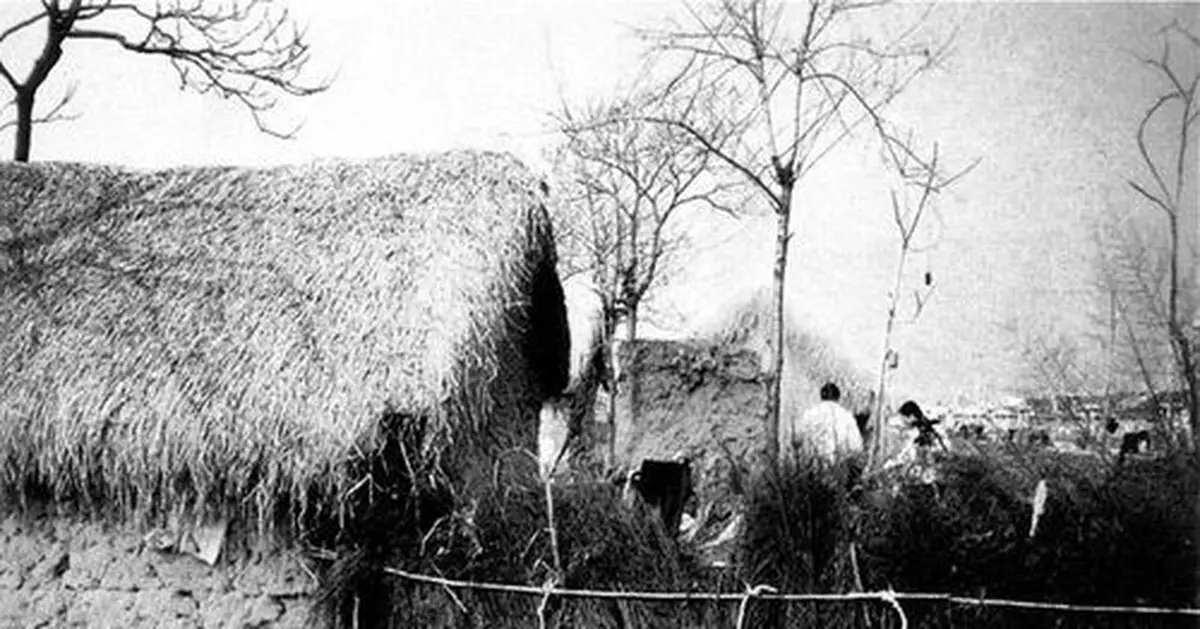 三年饑荒時期鳳陽縣是怎麼逼老百姓交糧食的