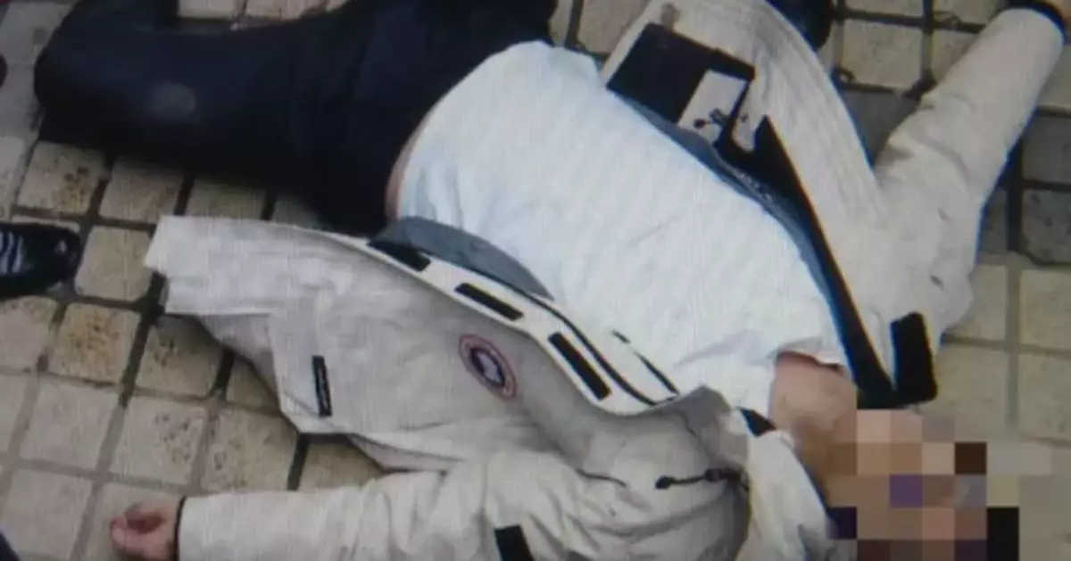 上海一男子在花鳥市場被保安毆打致死？真相來了