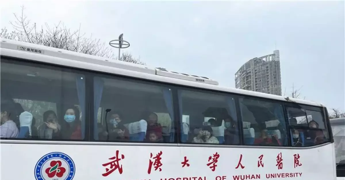 今天，武大櫻花迎來最想見的人！