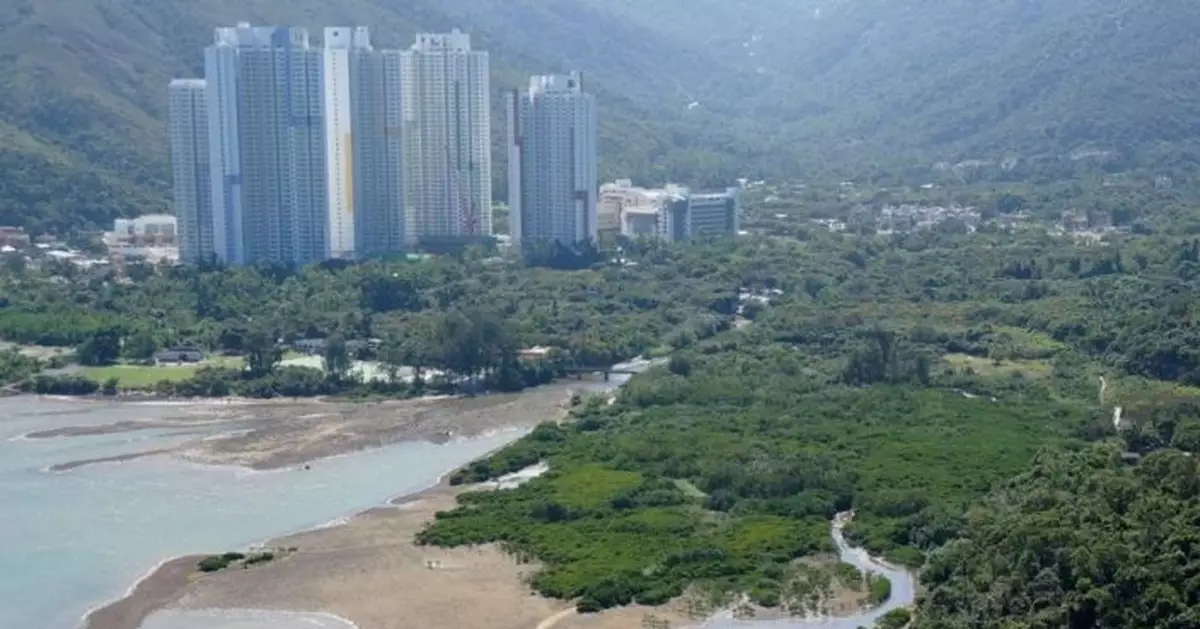 逾9成人認同保育東涌河 綠色力量倡政府嚴格規管土地利用