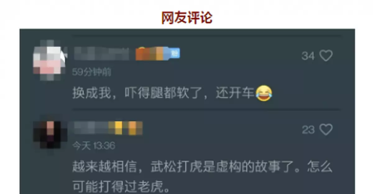 成年野生東北虎闖入村莊！咬傷群眾，拍碎車窗！