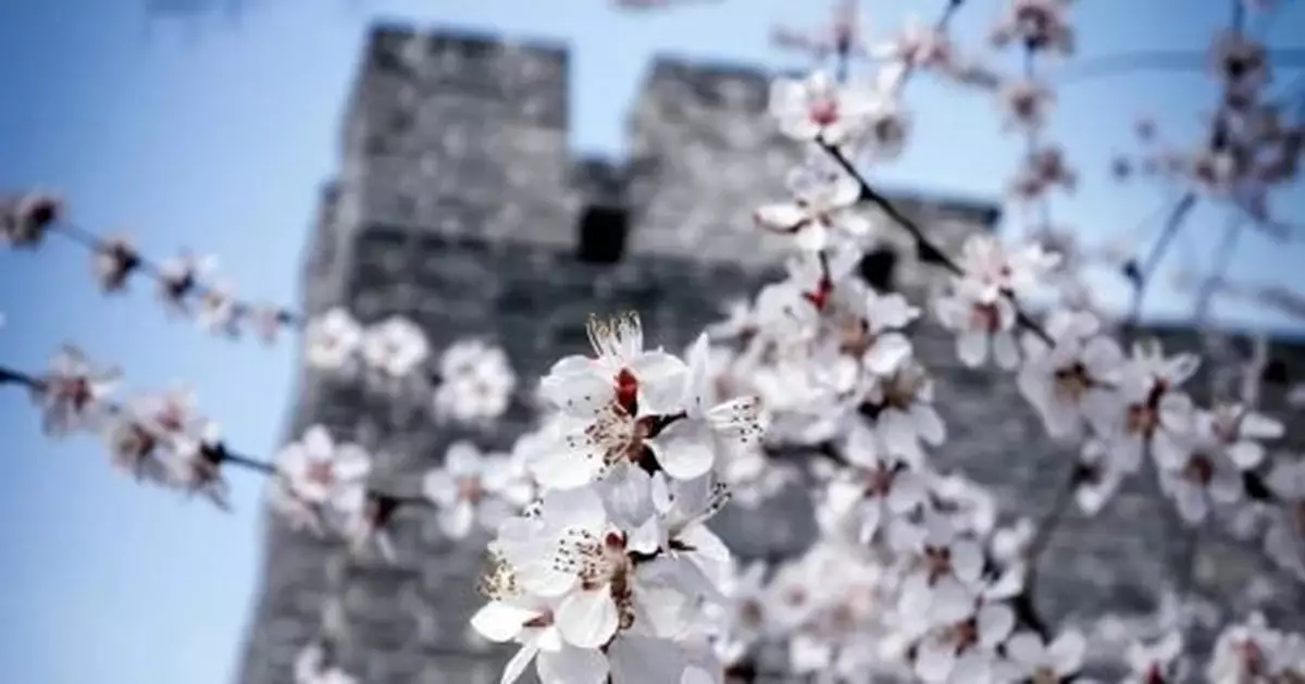 清明將迎出行高峰，專家發出重要提醒