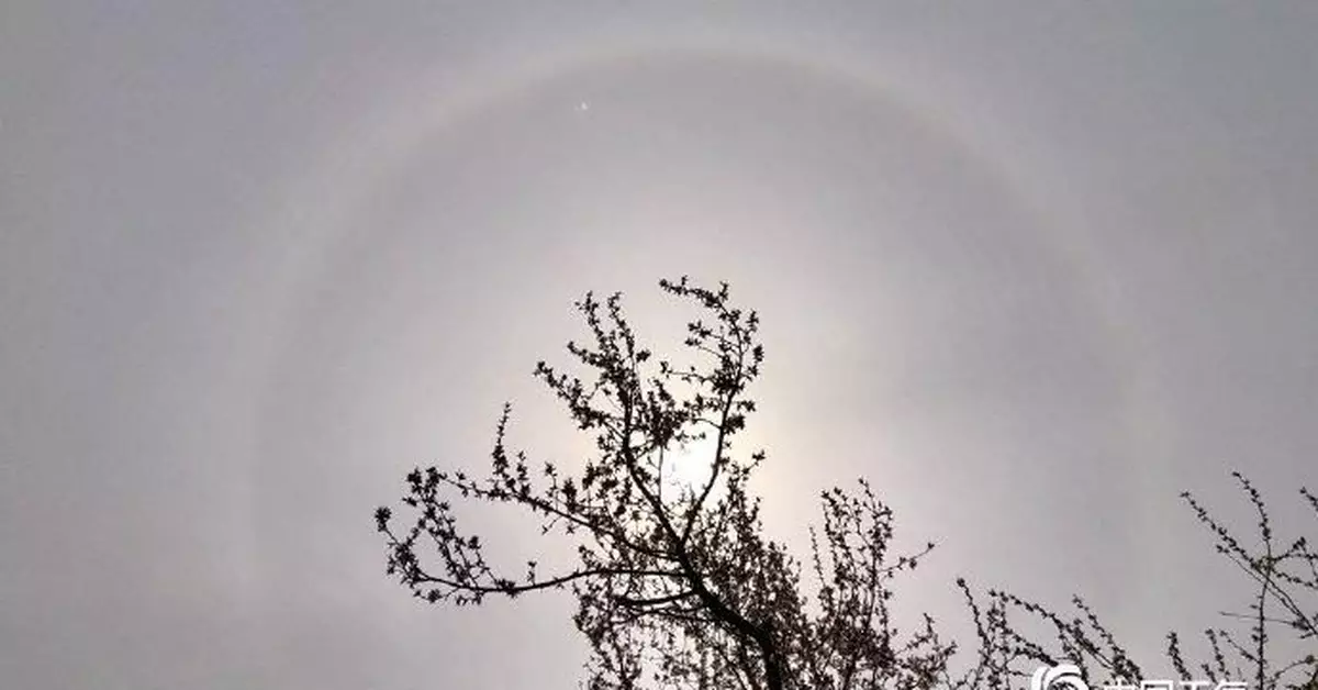 北京現日暈奇觀 你看到了嗎？