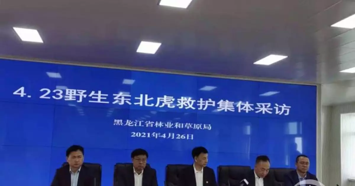 進村東北虎為何被命名為「完達山1號」，官方回應