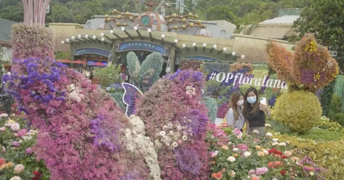 海洋公園「蝶舞花旅」周六盛放 50品種近800盆鮮花