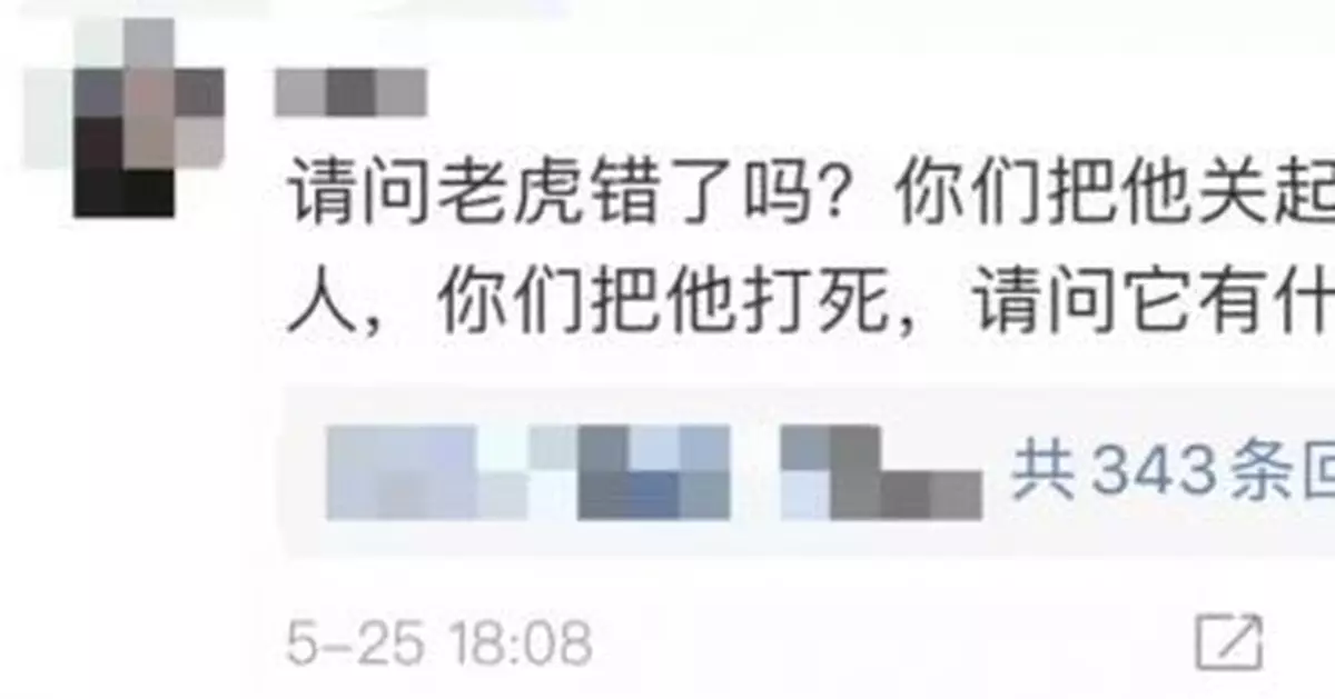 老虎咬死人,為什麼直接擊斃而不是用麻醉槍?詳情來了