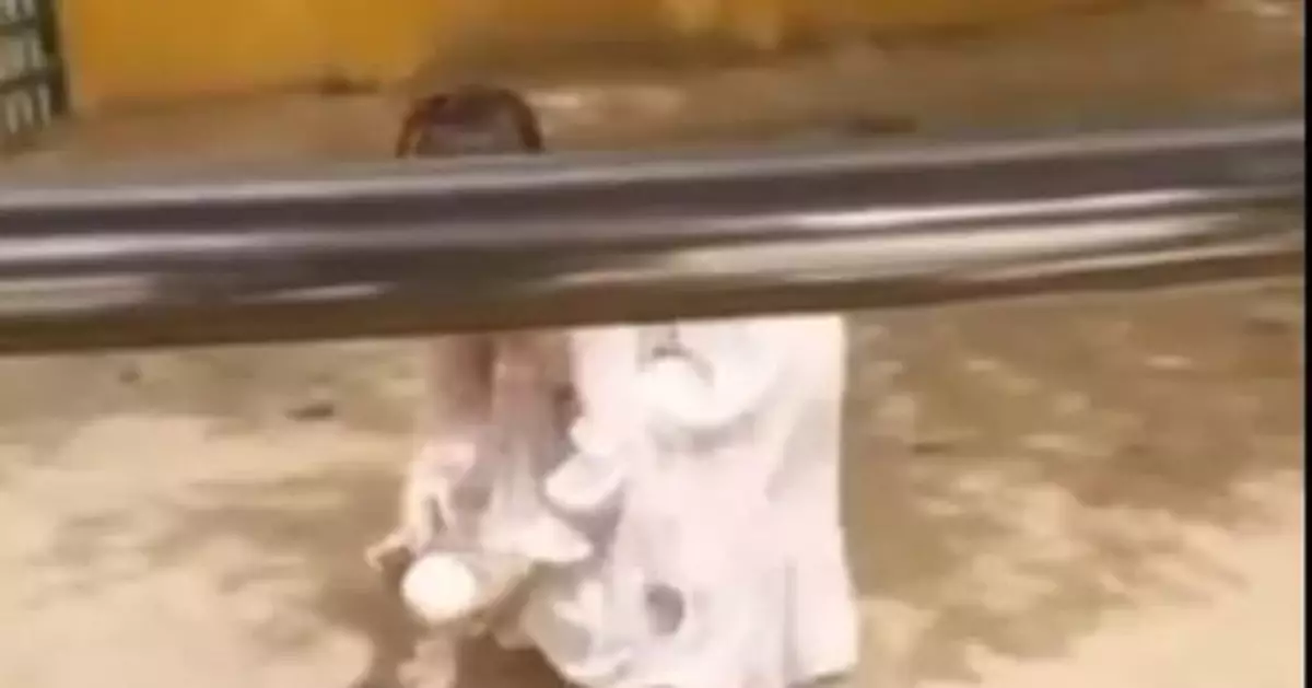 離譜！女子跳入動物園隔離區干這事