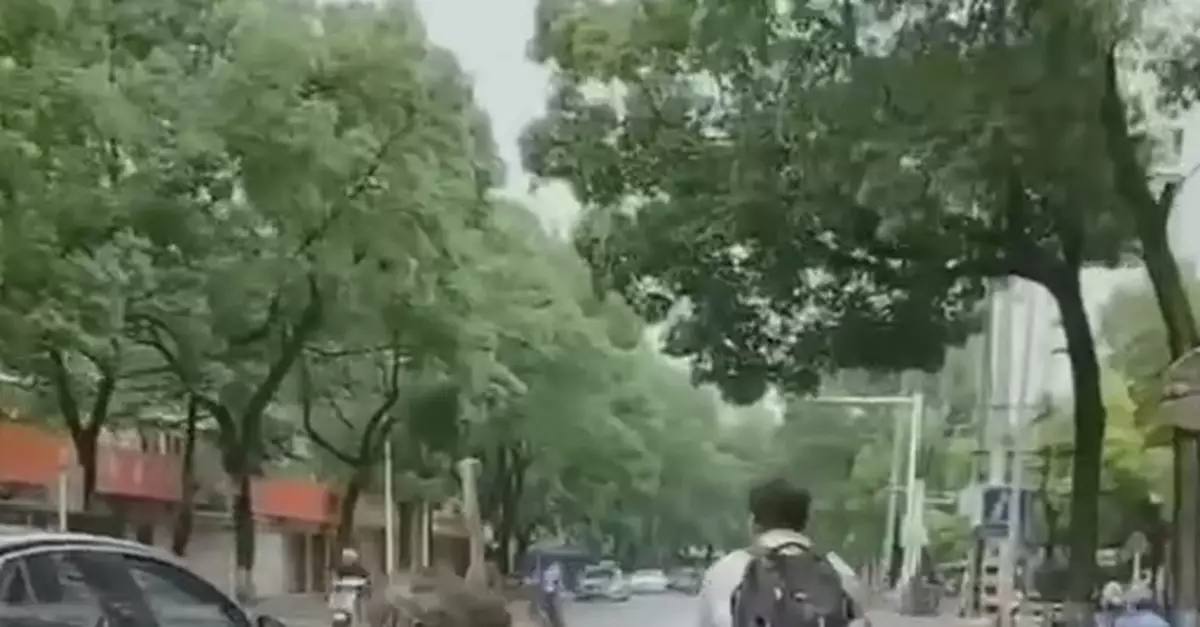 安慶野生動物園一鴕鳥脫逃後鬧市狂奔20公里