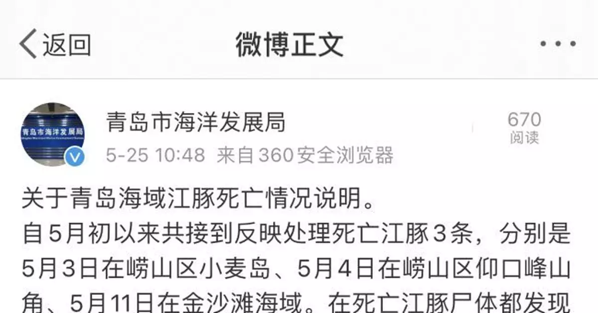 青島海域發現3條死亡江豚 官方回應