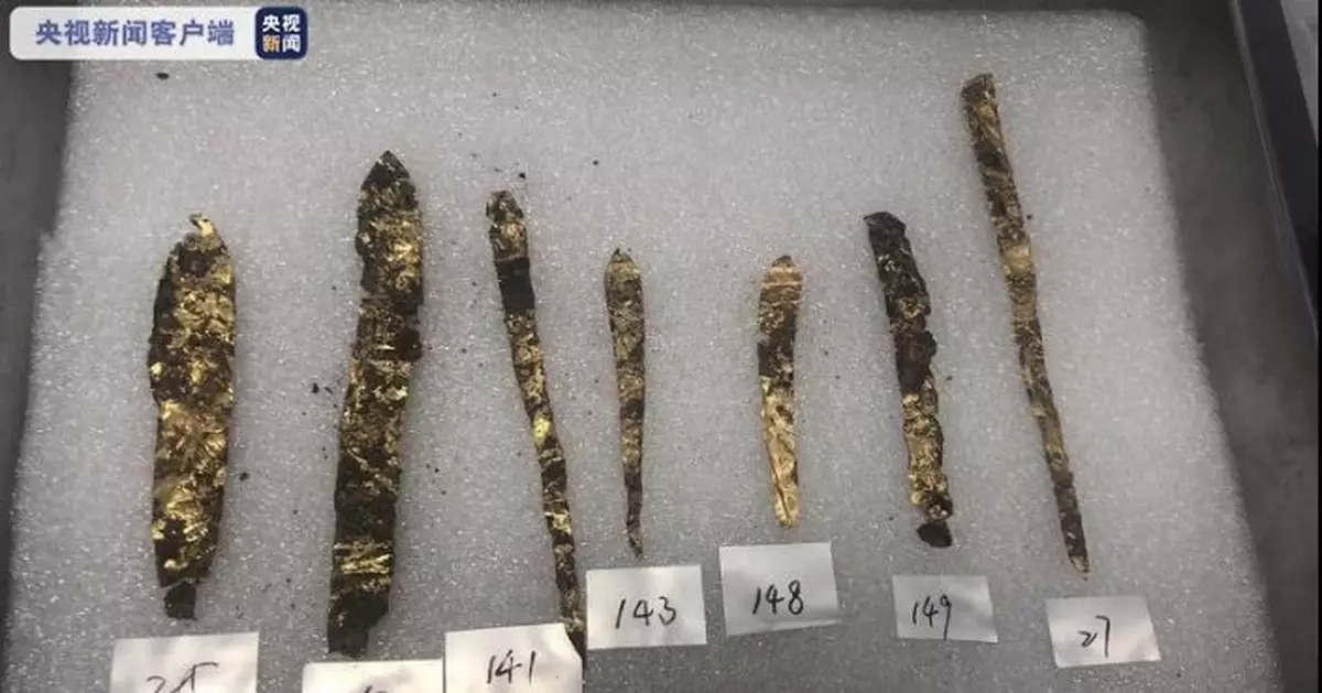 三星堆上新！8號坑陸續發現近60件金葉