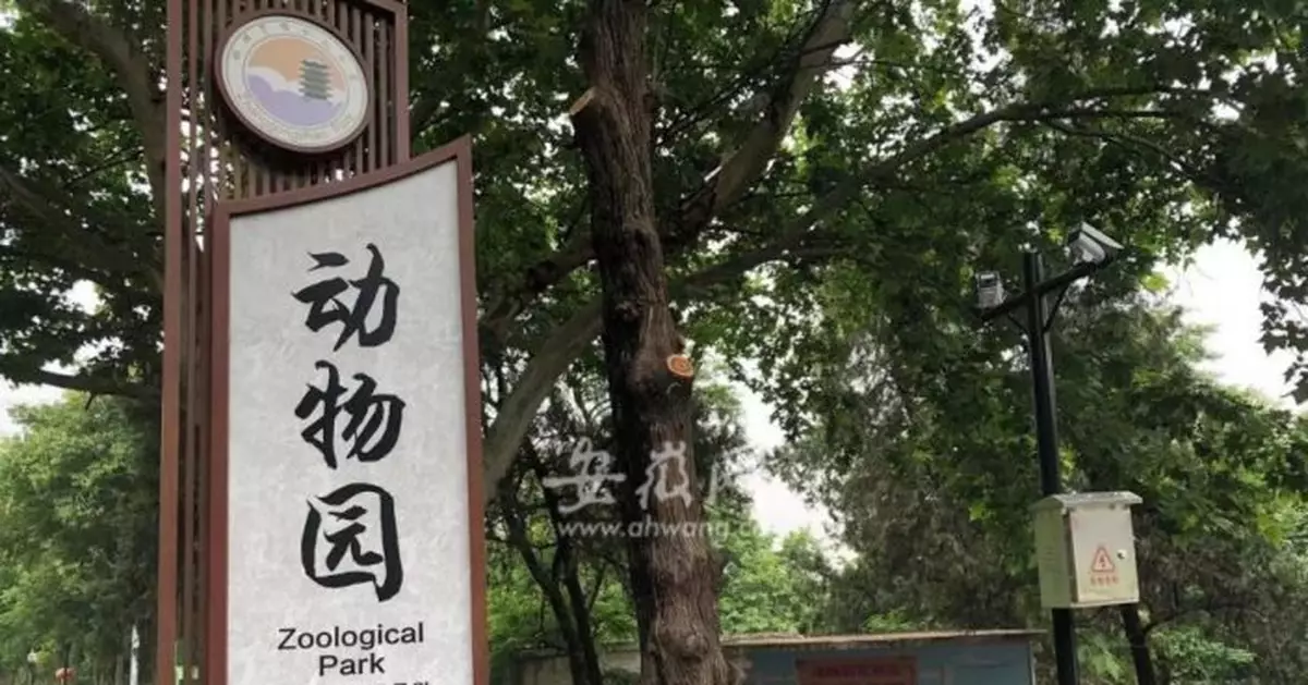 安徽蚌埠一動物園飼養員遭老虎襲擊 不幸身亡