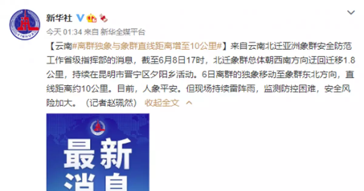 雲南離群獨象與象群直線距離增至10公里