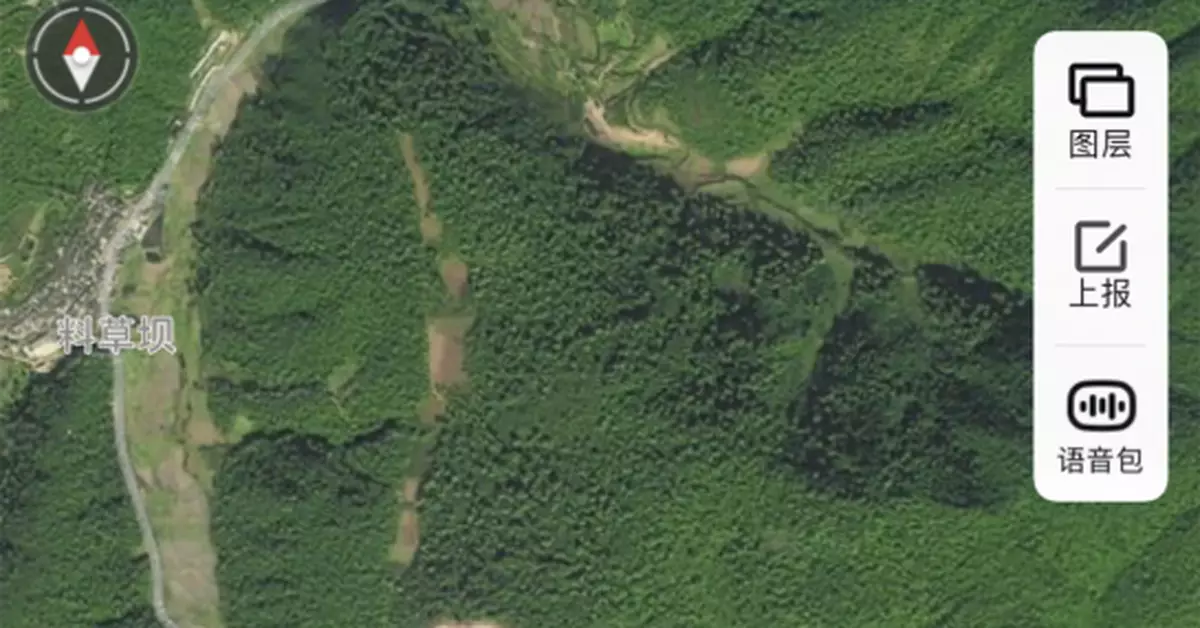 看到大象了！地處晉寧區兩村之間，當地正組織圍堵