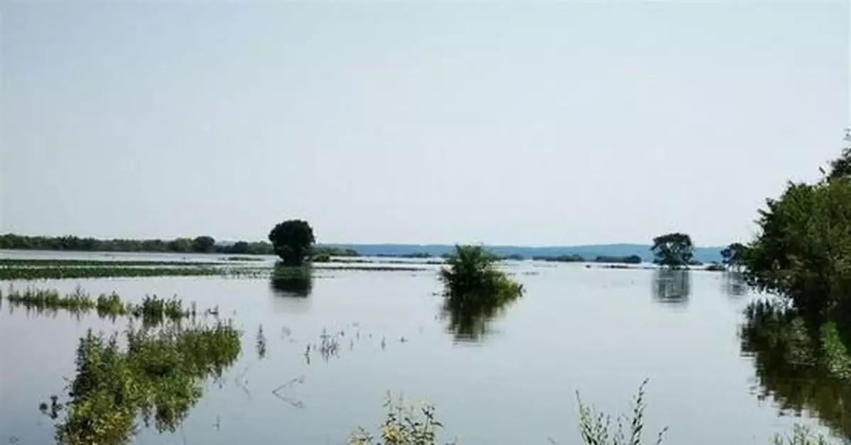 直擊黑龍江汛情：大片農田被淹，居民撤離落淚