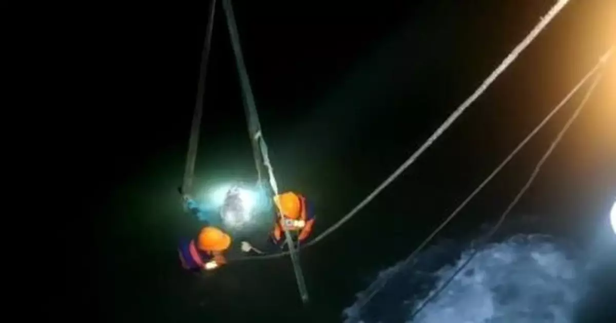 浙江臨海救護瓜頭鯨後續：5頭死亡 6頭放生 1頭救治