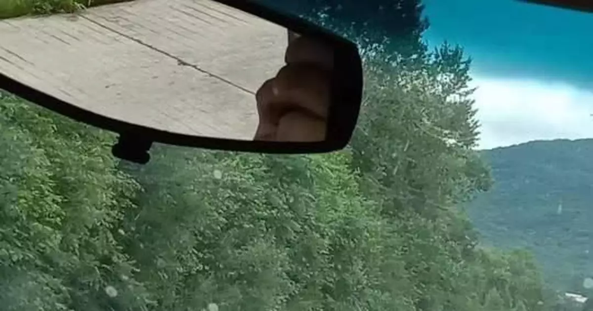 黑龍江饒河東北虎出沒 當地已發緊急提醒