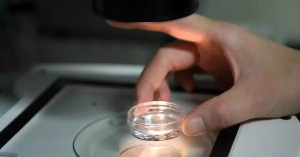 我國每年約有30萬名試管嬰兒誕生：走出生殖輔助誤區