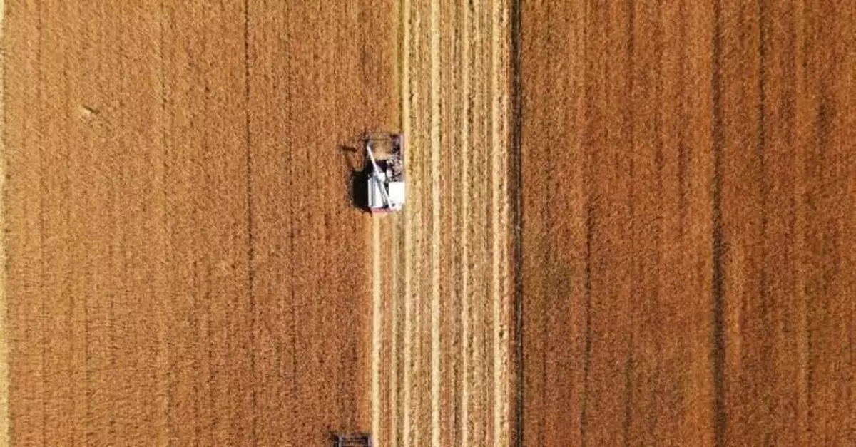 秋糧生產進入關鍵期 今年14億人「飯碗」有保障嗎？