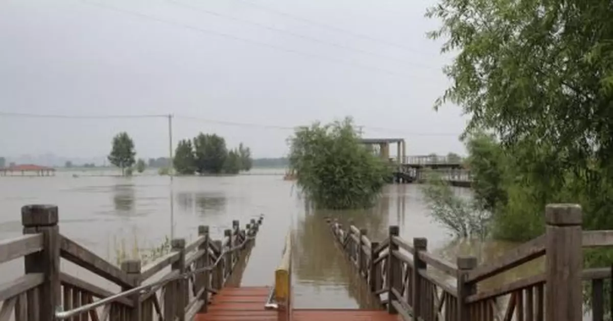 黑龍江省5條河流24個站點超警戒水位 最高超2.65米