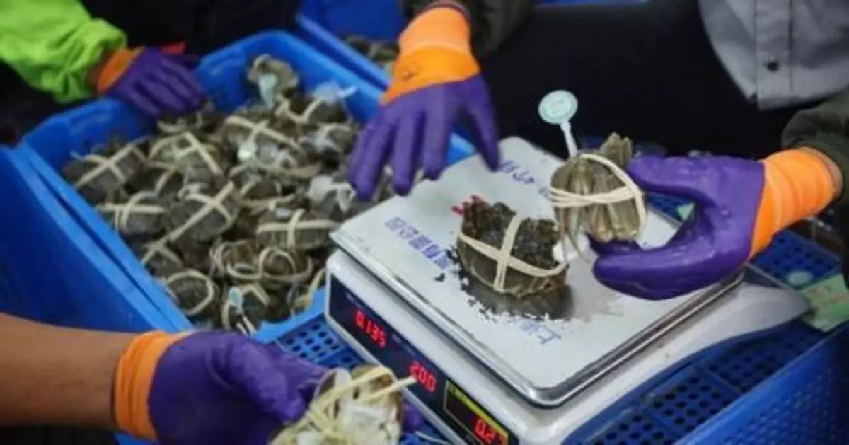 不只是蟹黃膏肥！「蟹」經濟，你知道多少？