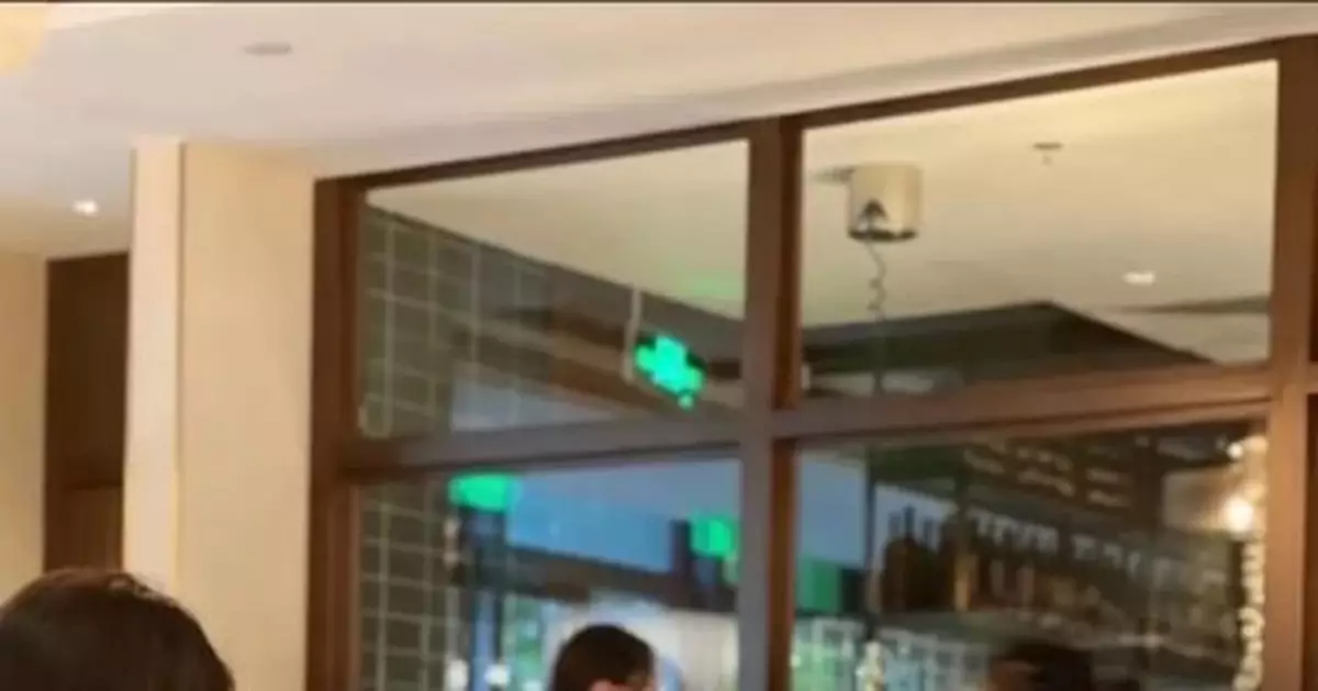 人狗同桌進餐引爭議，北京一餐廳道歉