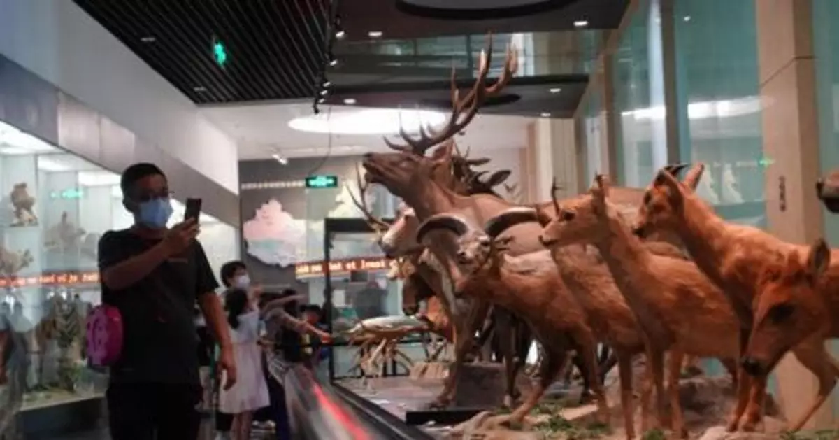 從冷門到熱門，這些小眾博物館有啥「吸粉秘籍」