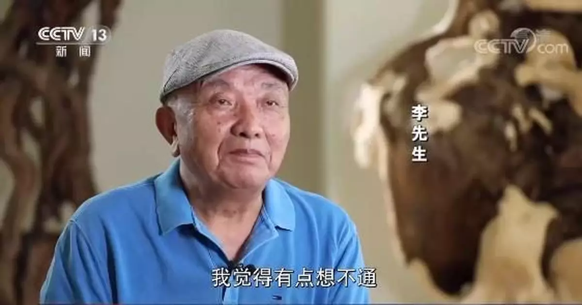 修剪自己種的樹被罰14.42萬元！李先生有話說